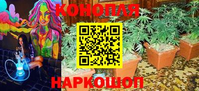 наркотики Новокубанск
