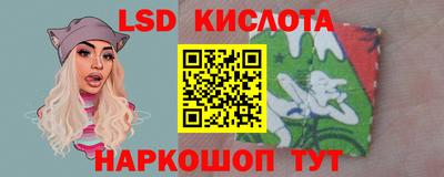 дживик Новозыбков