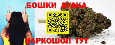 дживик Новозыбков
